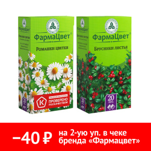 Купить: Набор Ромашки цветки + Брусники листья
