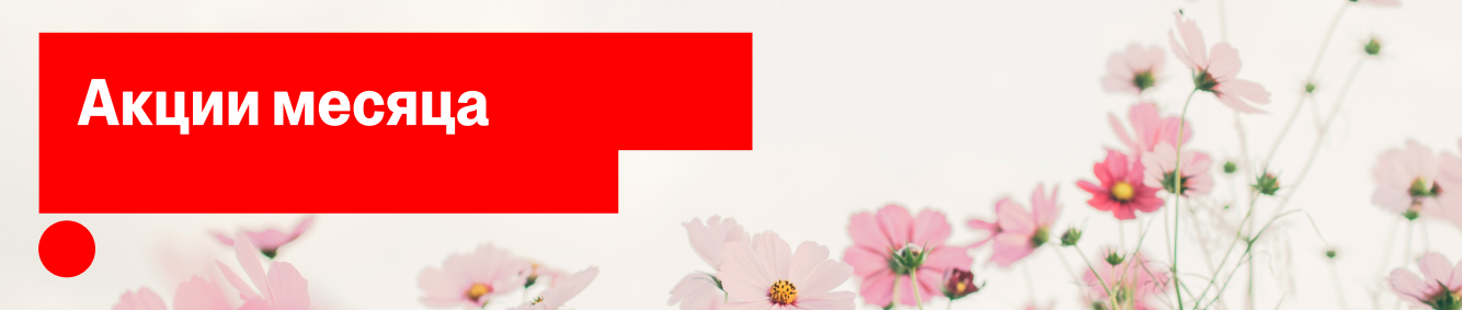 Акции месяца апрель 2026