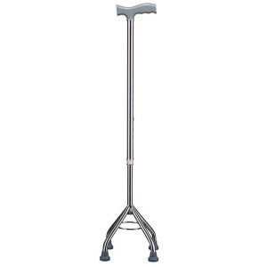 Купить: Трость Артикул WR-421 с принадлежностями