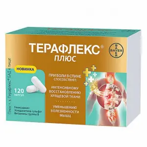 Купить Терафлекс Плюс 120 шт капсулы