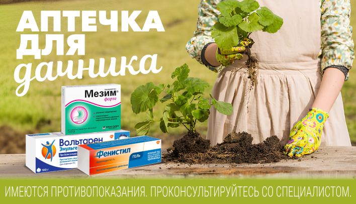 Аптечка на дачу