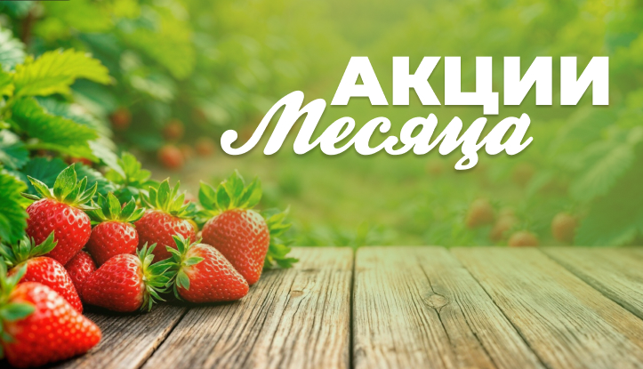Акции месяца июнь 2025