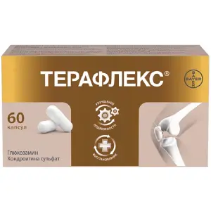 Купить Терафлекс 60 шт капсулы
