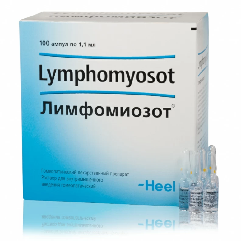 Купить Лимфомиозот р-р д/в/м введ гомеопат амп 1,1мл №100