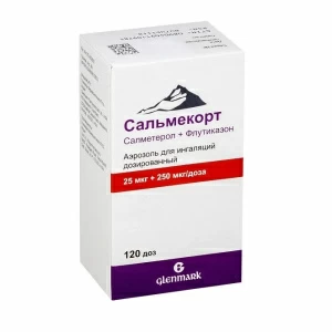 Купить Сальмекорт аэроз д/инг доз 25мкг+250мкг 120ДОЗ