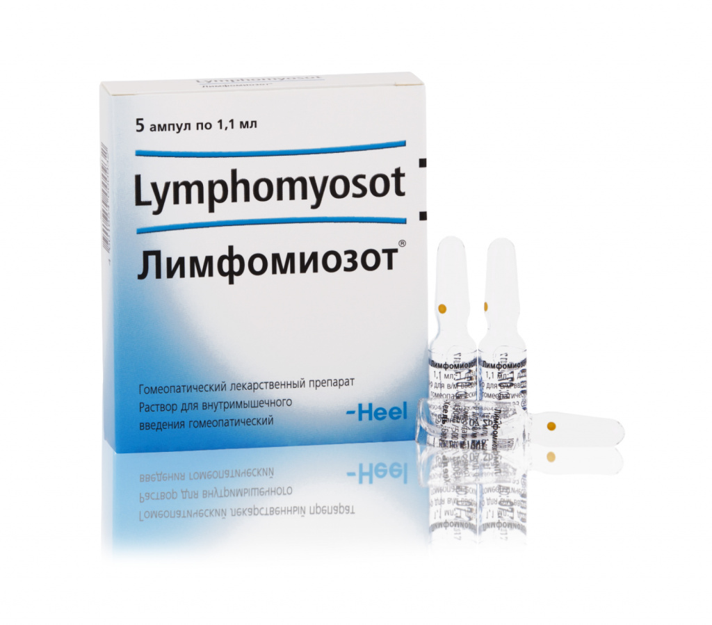 Купить Лимфомиозот р-р д/в/м введ гомеопат амп 1,1мл №5