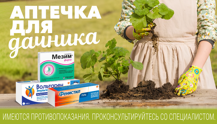 Аптечка для дачника