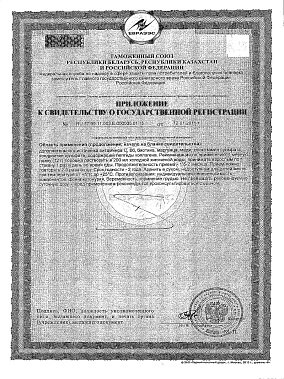 Приложение к свидетельству о гос_регистрации.jpg
