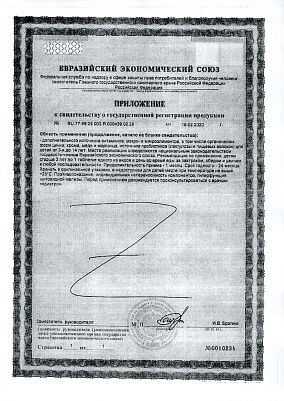 Приложение к свидетельству о гос_регистрации.jpg