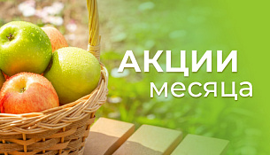 Акции месяца август 2025