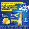 Купить Терафлю 2 г 10 шт порошок для приготовления раствора для приема внутрь лимон