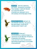 Купить Доктор Море Система Очищение 60 шт капсулы