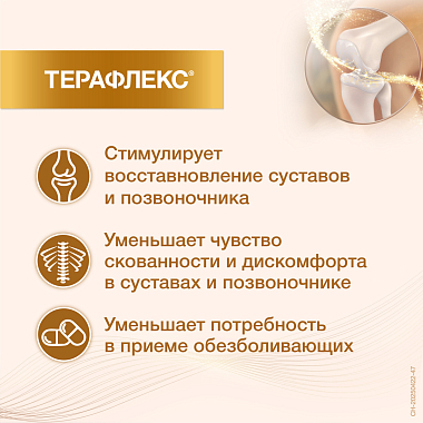 Купить Терафлекс 100 шт капсулы