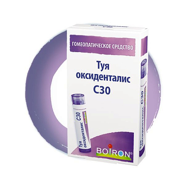 Купить Туя Оксиденталис С 30 гранулы гомеопатические 4 г монокомпонентный препарат