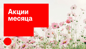 Акции месяца апрель 2026