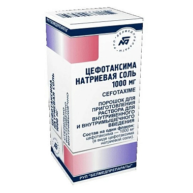 Купить Цефотаксим 1 г 1 шт  порошок для приготовления раствора для внутривенного и внутримышечного введения флакон