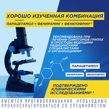 Купить Терафлю 2 г 10 шт порошок для приготовления раствора для приема внутрь лимон