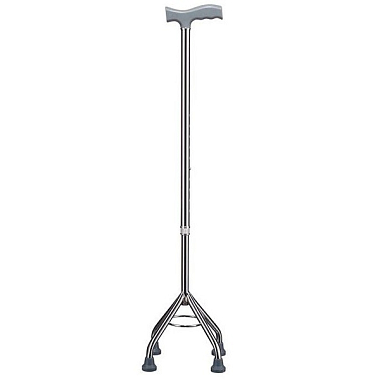 Купить Трость Артикул WR-421 с принадлежностями