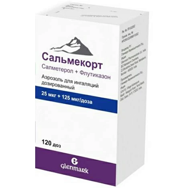 Купить Сальмекорт аэроз д/инг доз 25мкг+125мкг 120ДОЗ