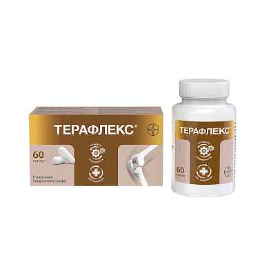Купить Терафлекс 60 шт капсулы