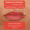 Купить Belweder 4 г помада для губ лифтинг с пептидами