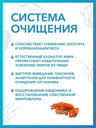 Купить Доктор Море Система Очищение 60 шт капсулы