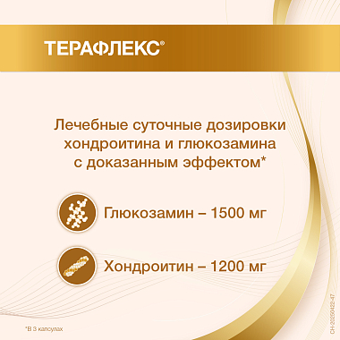 Купить Терафлекс 60 шт капсулы