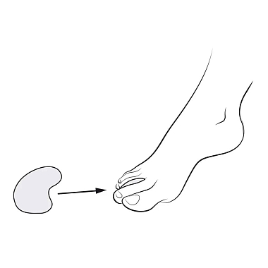 Купить B.Well разделитель межпальцевый Артикул FW 644