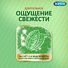 Купить Корега 40 г крем для фиксации зубных протезов нежная мята