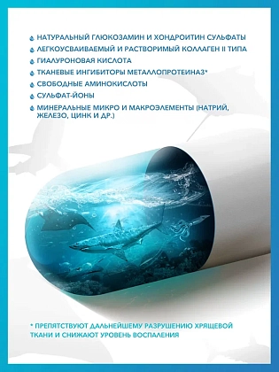 Купить Доктор Море Артрофиш 60 шт капсулы